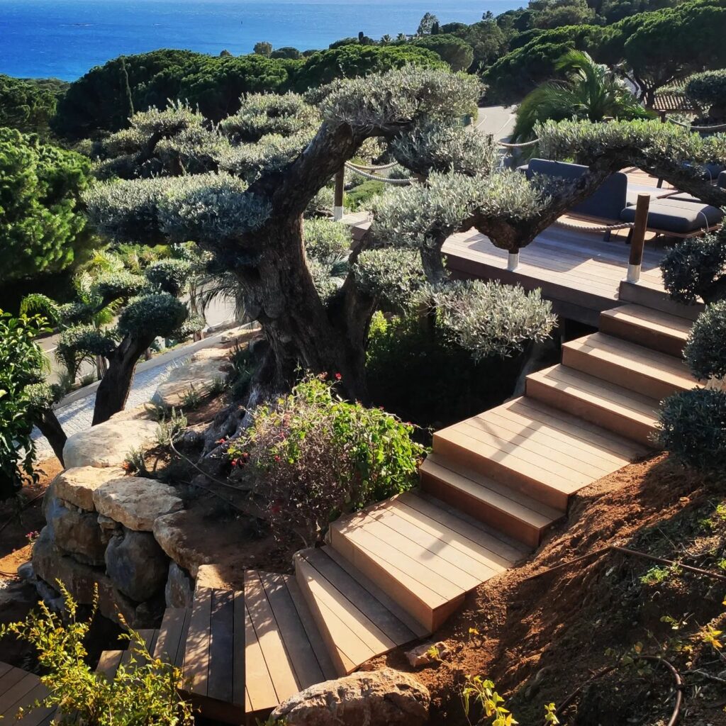 réalisation de terrasse en bois