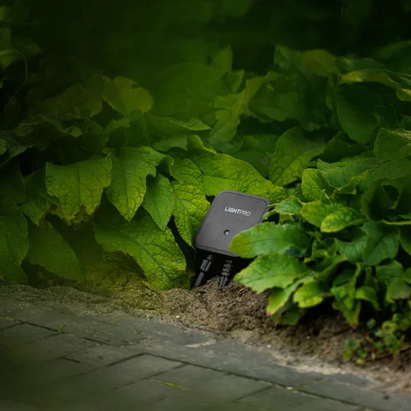 Switch Smart WiFi Lightpro installé au sol jardin avec végétation éclairée ambiance nocturne