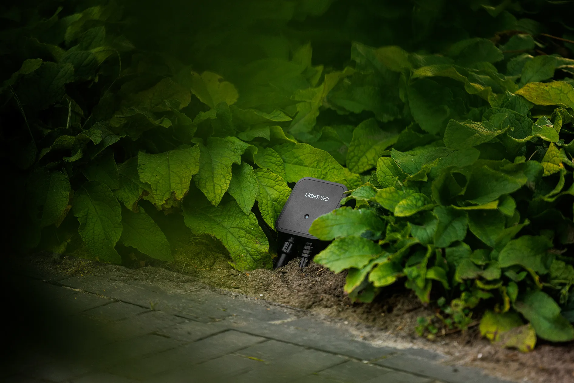 Switch Smart WiFi Lightpro installé au sol jardin avec végétation éclairée ambiance nocturne