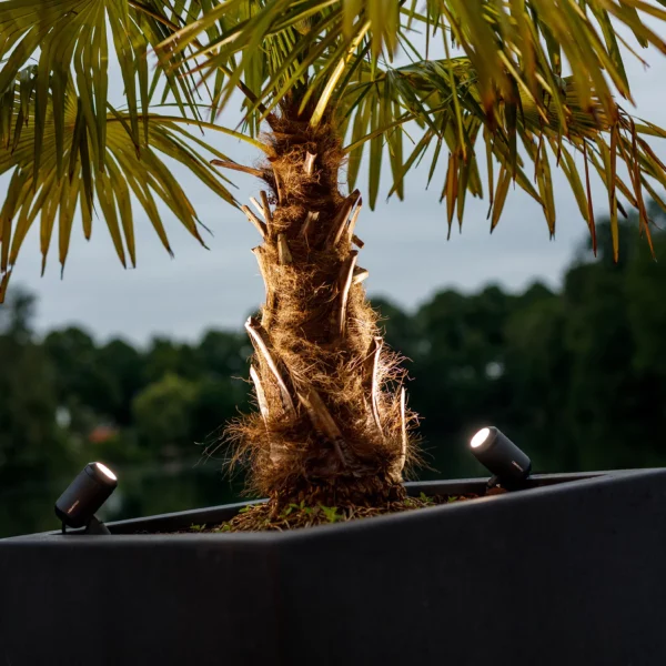 Spot LED dimmable 12V Castor 9 éclairant palmier jardin extérieur